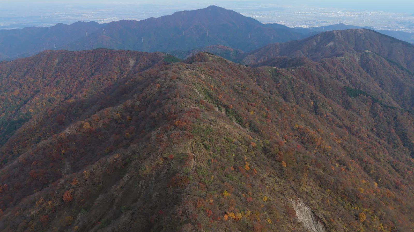 空撮｜大山へ続く紅葉の尾根（丹沢）