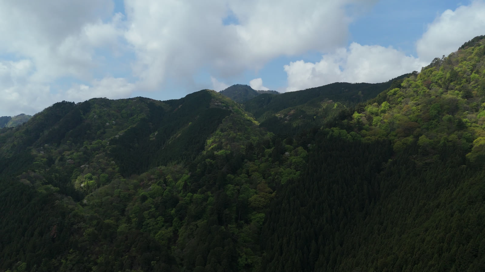 空撮｜新緑の尾根と雲（御岳山）