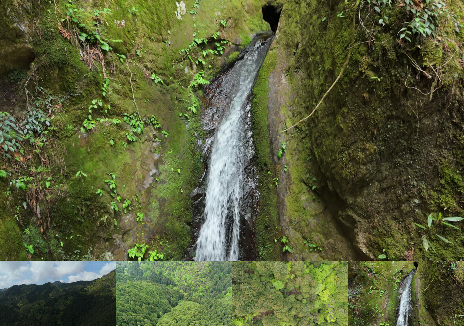 新緑の奥多摩 — 御岳山の空撮4本セット