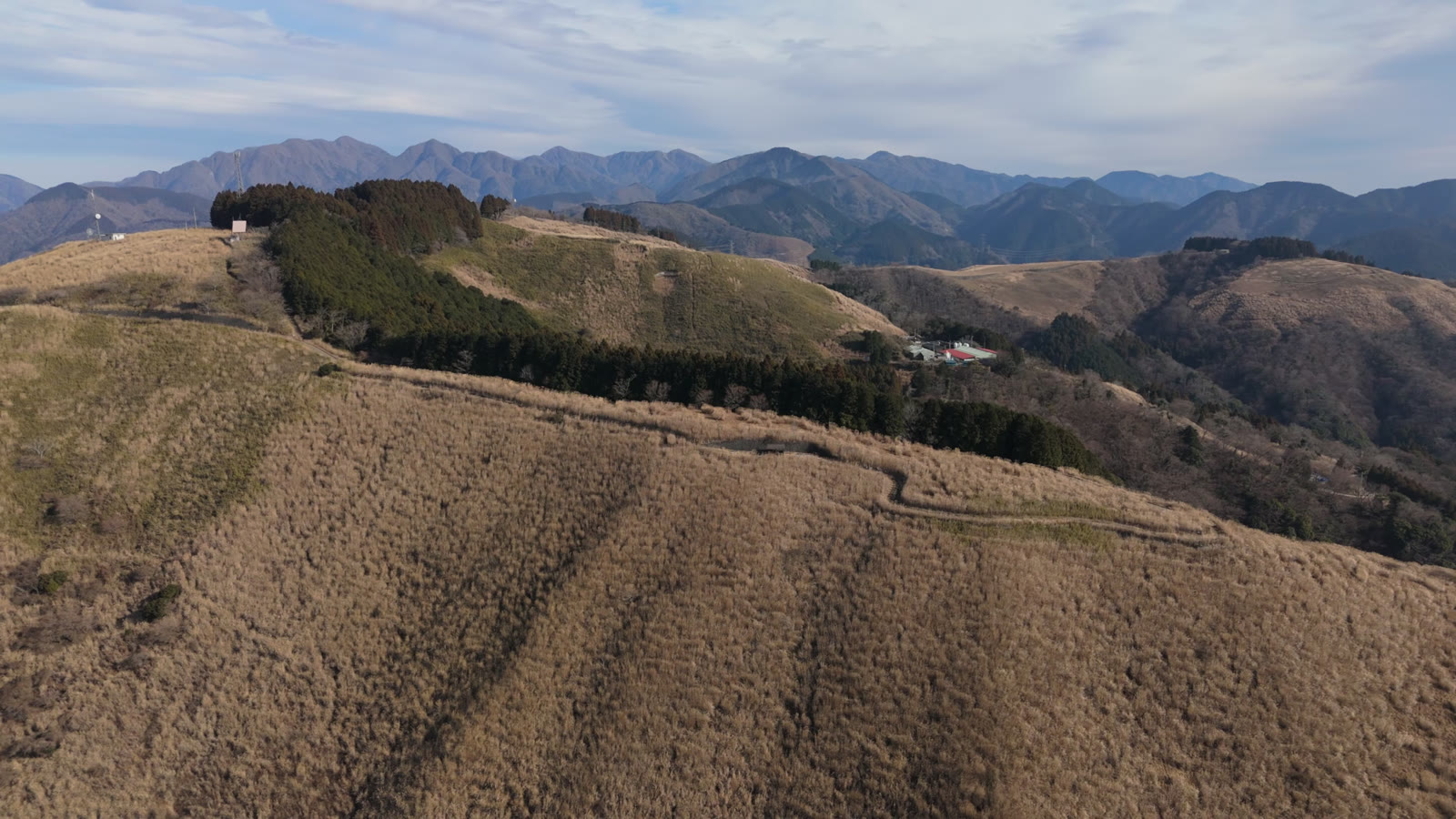 空撮｜ススキの丸い稜線（大野山）